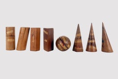 Set di 8 modelli geometrici in legno per l'insegnamento. Castiglione, Torino, Italia 1900