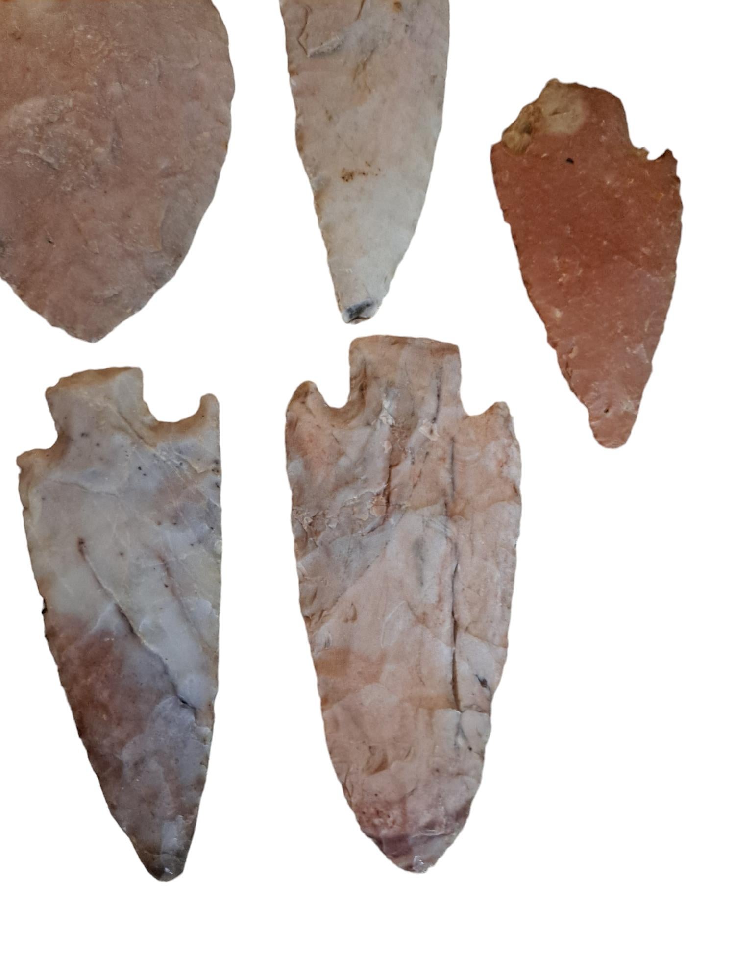 20th Century Group of 9 Arrowheads Carved From Various Types of Stone