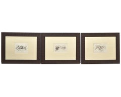 Group of 9 Framed Engraved Egyptology Book Plates by Vivant Denon, Early 20th C.