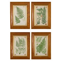 Paintings