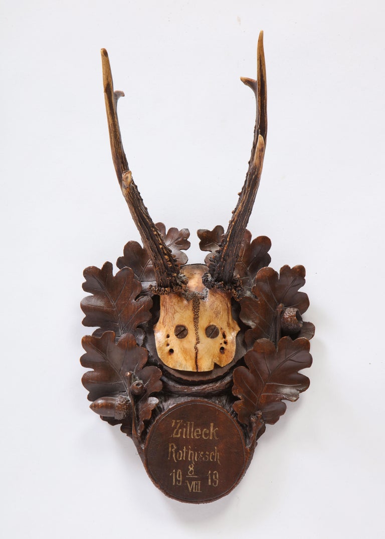 Group of Fifteen Swiss 'Black Forest' Antler Trophy Mounts, 20th