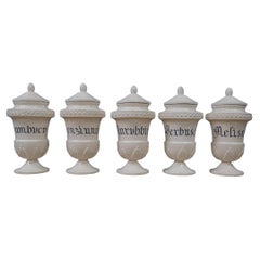 Group of Five 19th Century Italian Herbalist Apothecary Jars