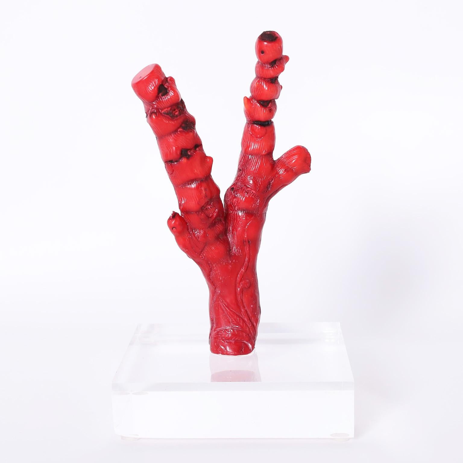 Group of Four Red Coral Specimens, Priced Individually For Sale at 1stDibs