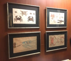 Group of Four Crustaceans Studies 1793 by F.D. Heidenreich