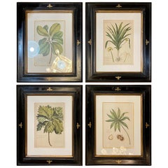 Group of Four Finely Matted and Framed Original Hand Colored Engravings