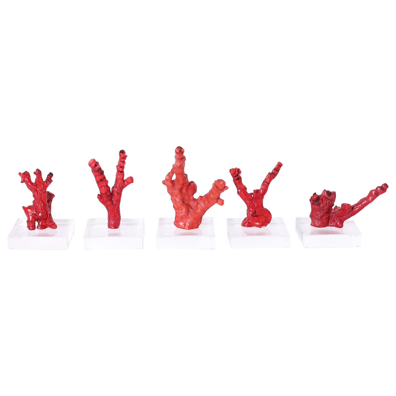 Group of Four Red Coral Specimens, Priced Individually