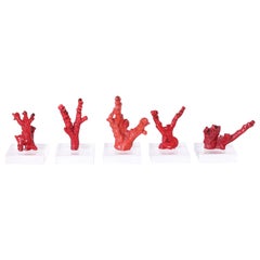 Group of Four Red Coral Specimens, Priced Individually