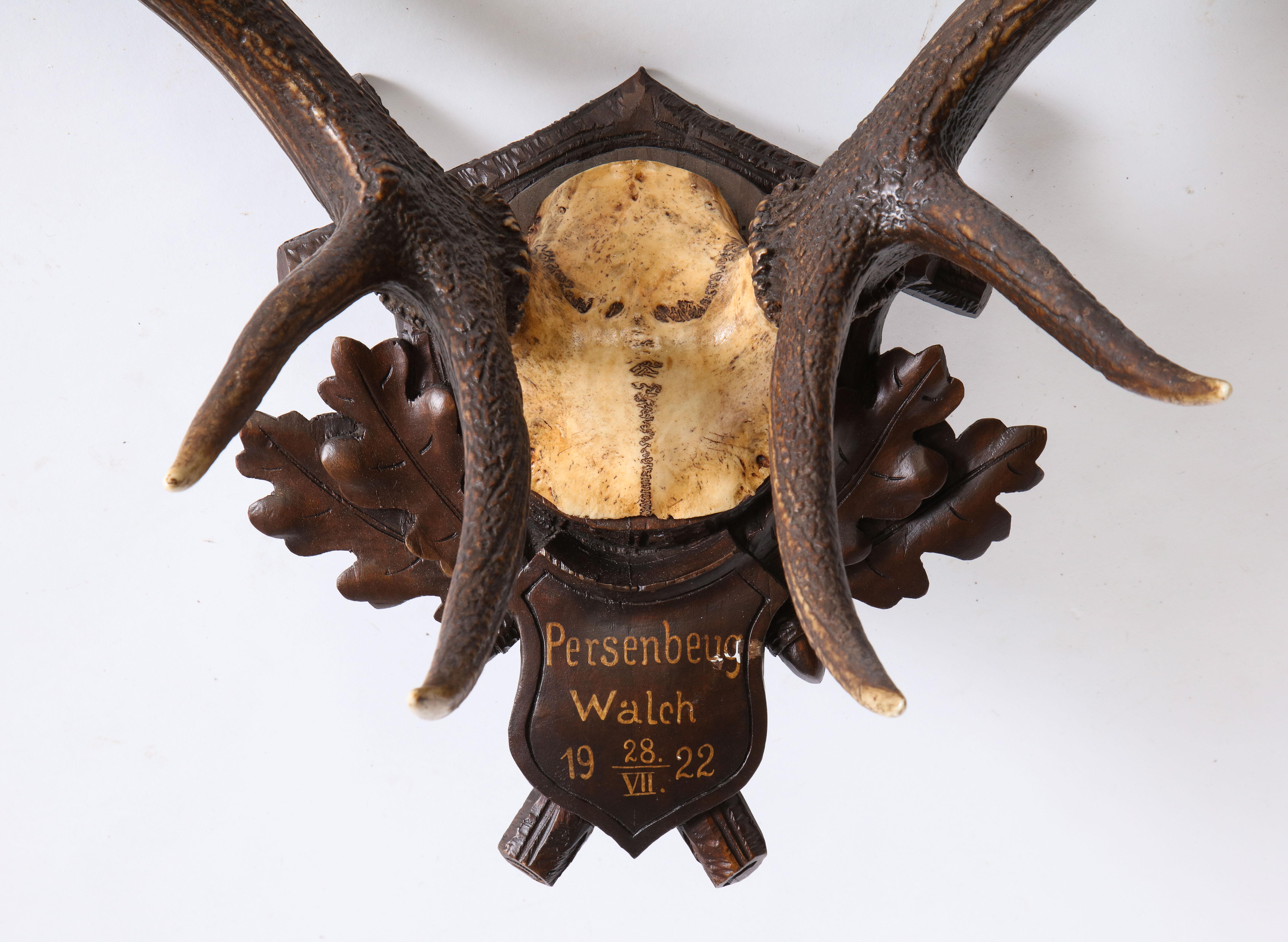 Group of Four Swiss 'Black Forest' Antler Trophy Mounts, 19th/20th Century 7
