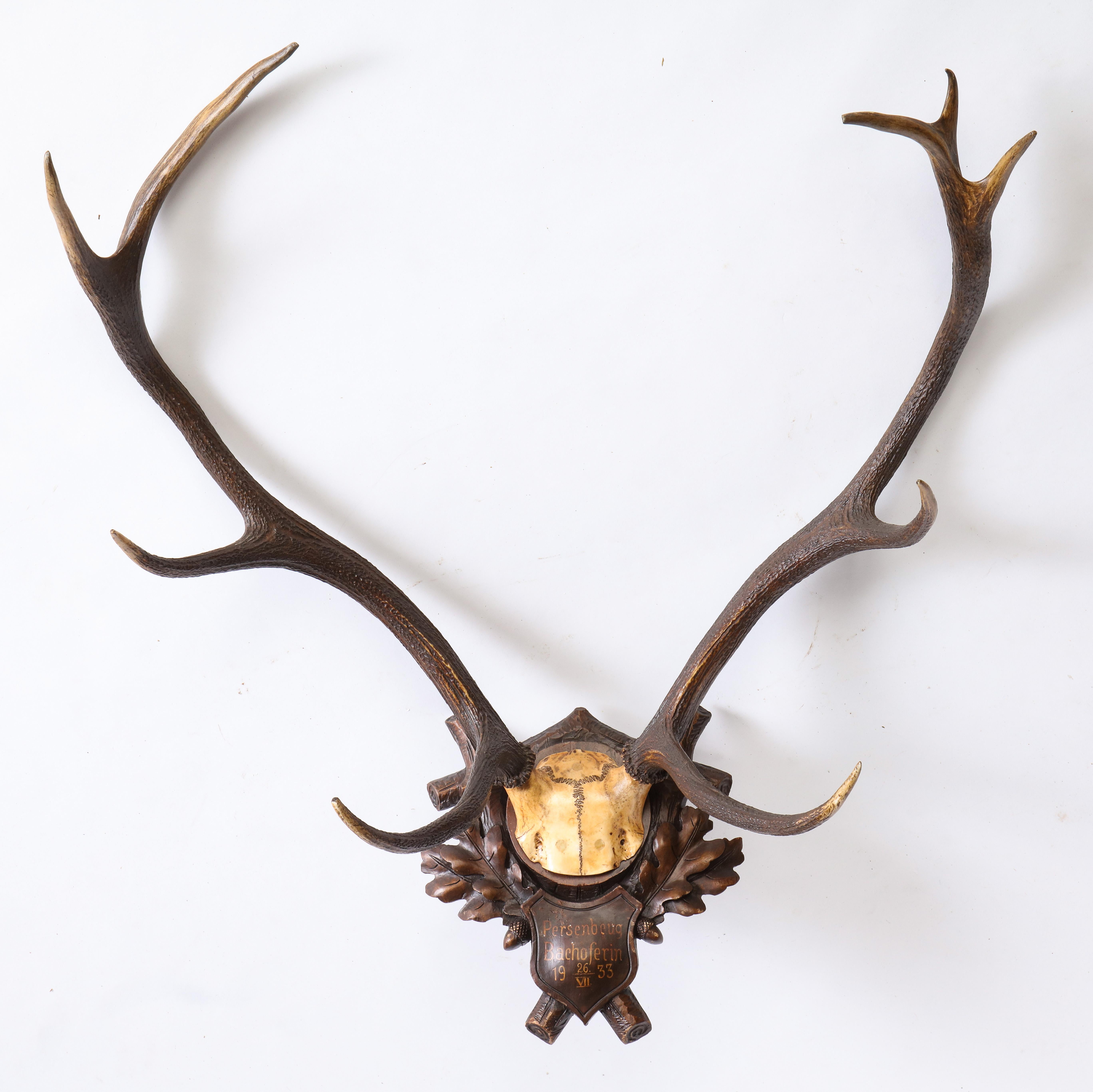 Group of Four Swiss 'Black Forest' Antler Trophy Mounts, 19th/20th Century 9