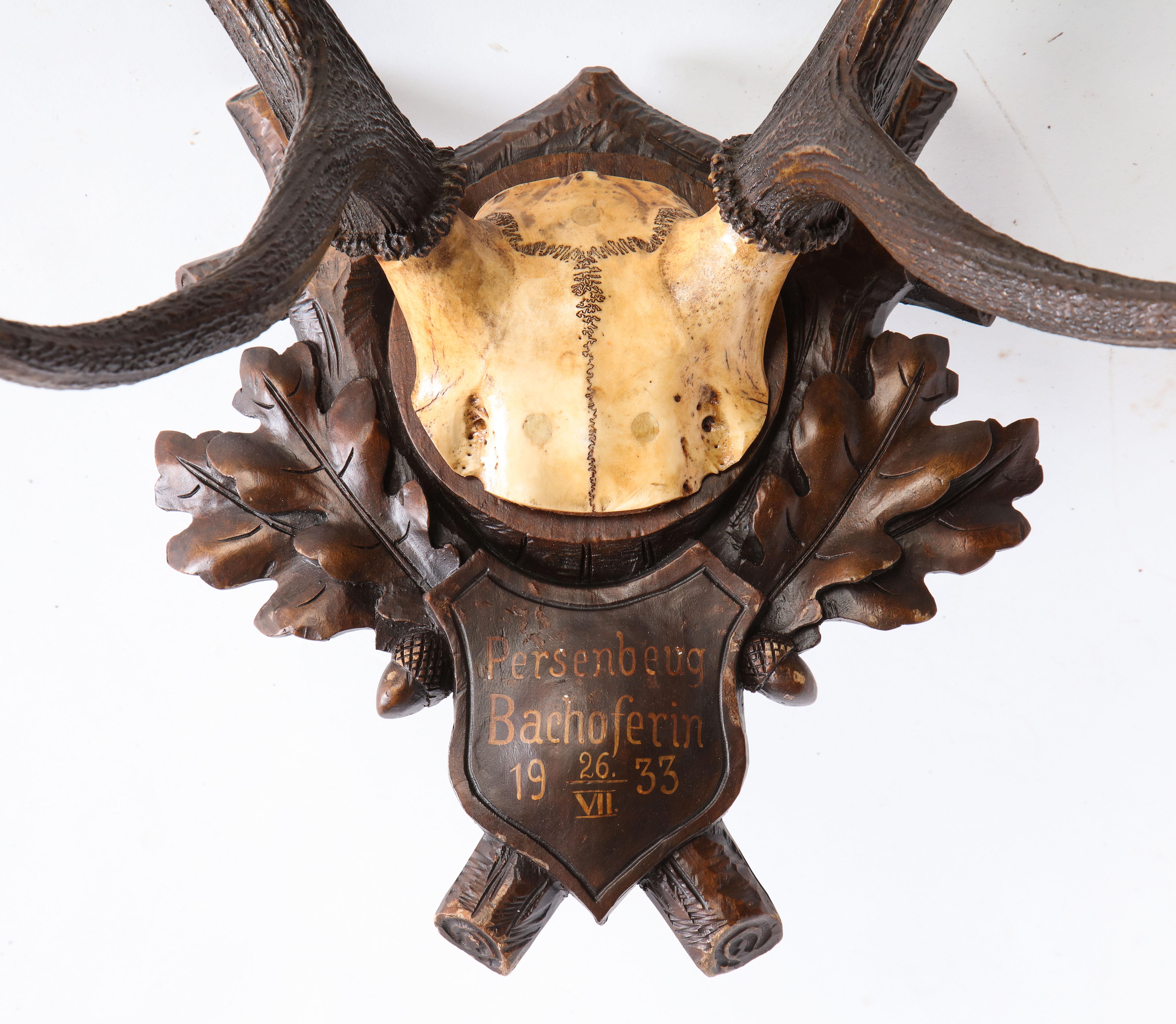 Group of Four Swiss 'Black Forest' Antler Trophy Mounts, 19th/20th Century 11