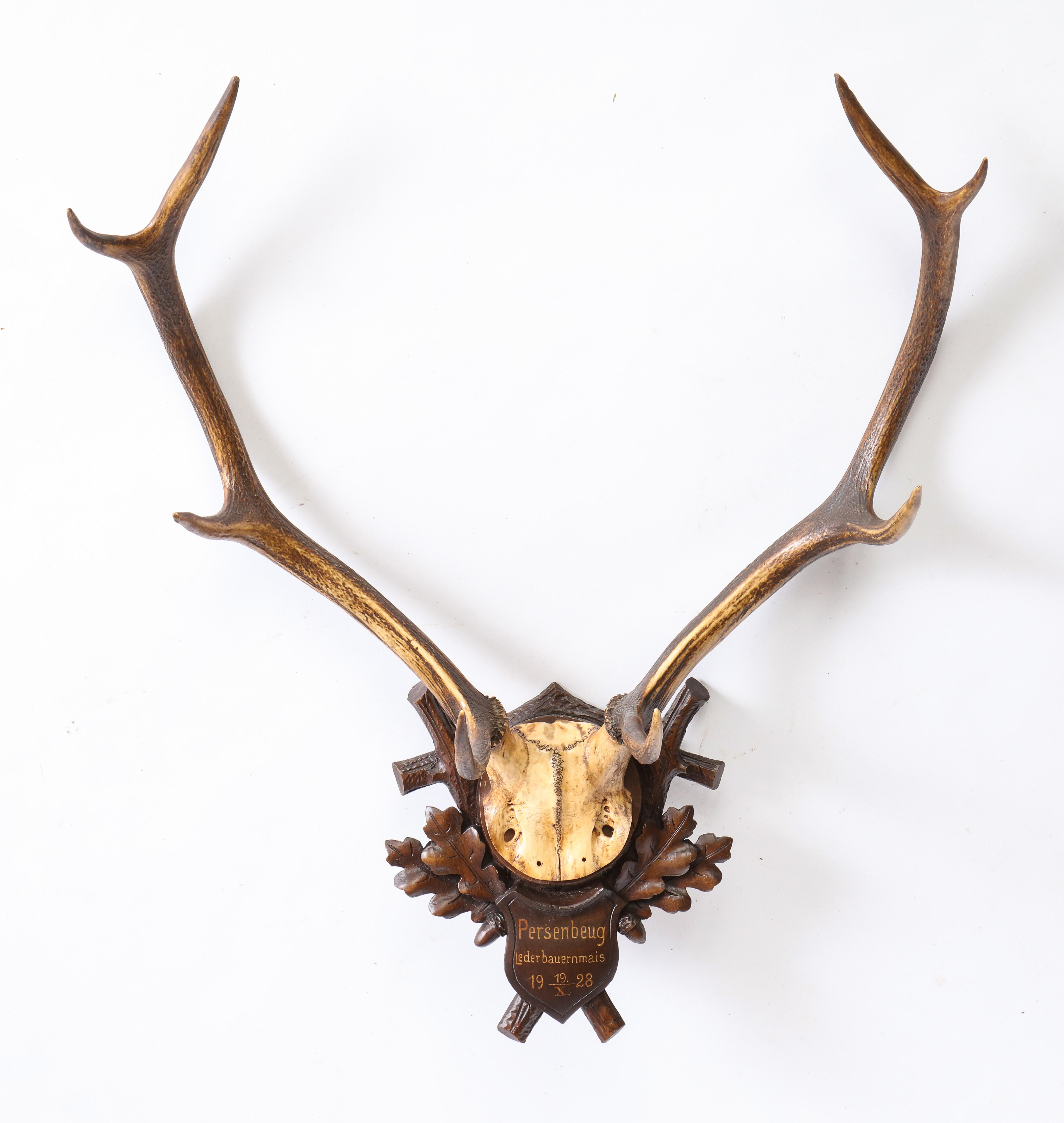 Group of Four Swiss 'Black Forest' Antler Trophy Mounts, 19th/20th Century 12