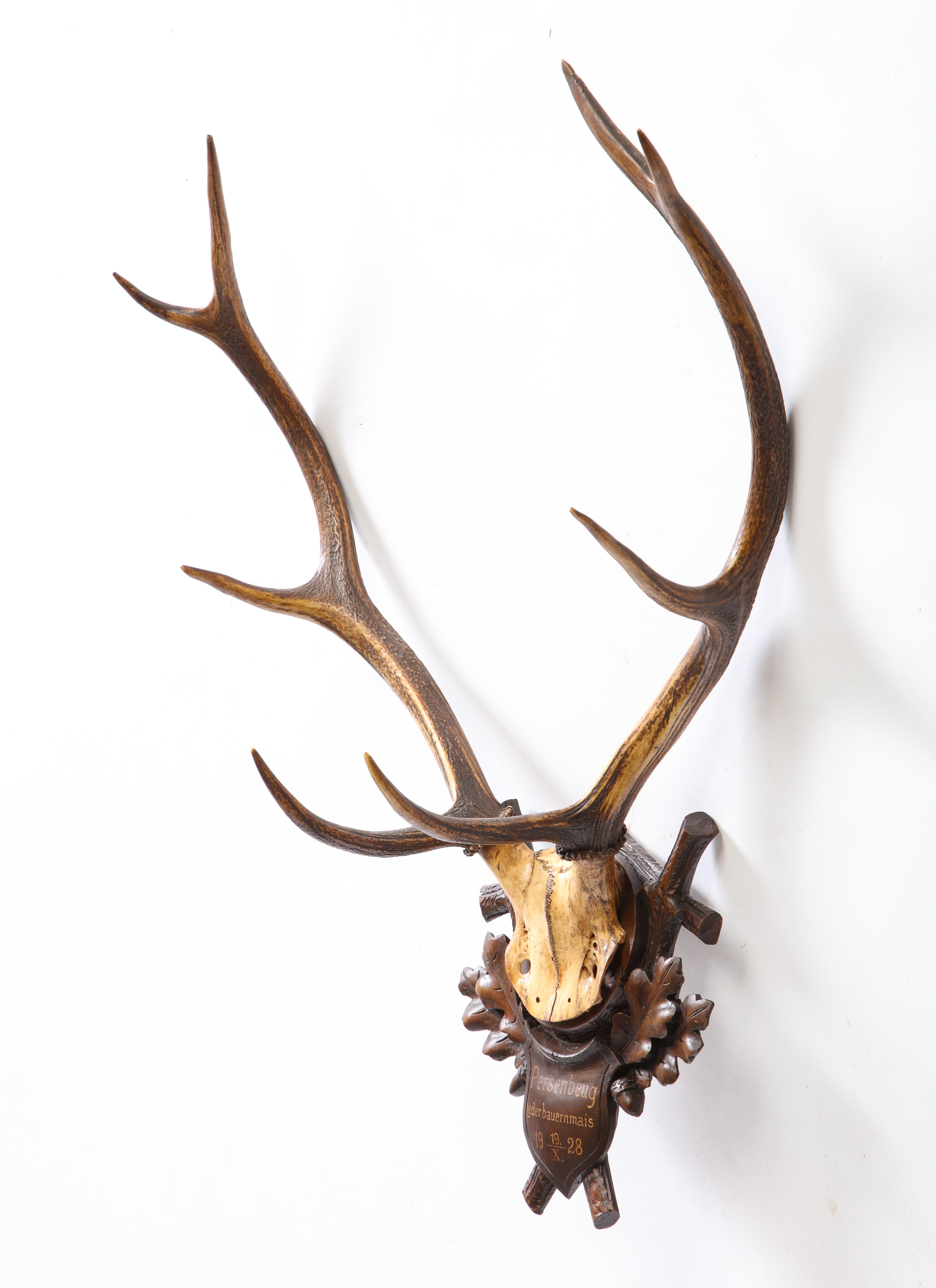 Group of Four Swiss 'Black Forest' Antler Trophy Mounts, 19th/20th Century 13