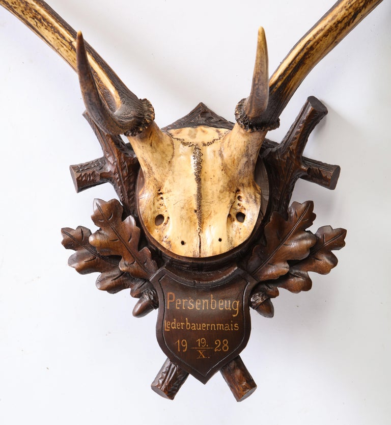 Group of Four Swiss 'Black Forest' Antler Trophy Mounts, 19th/20th