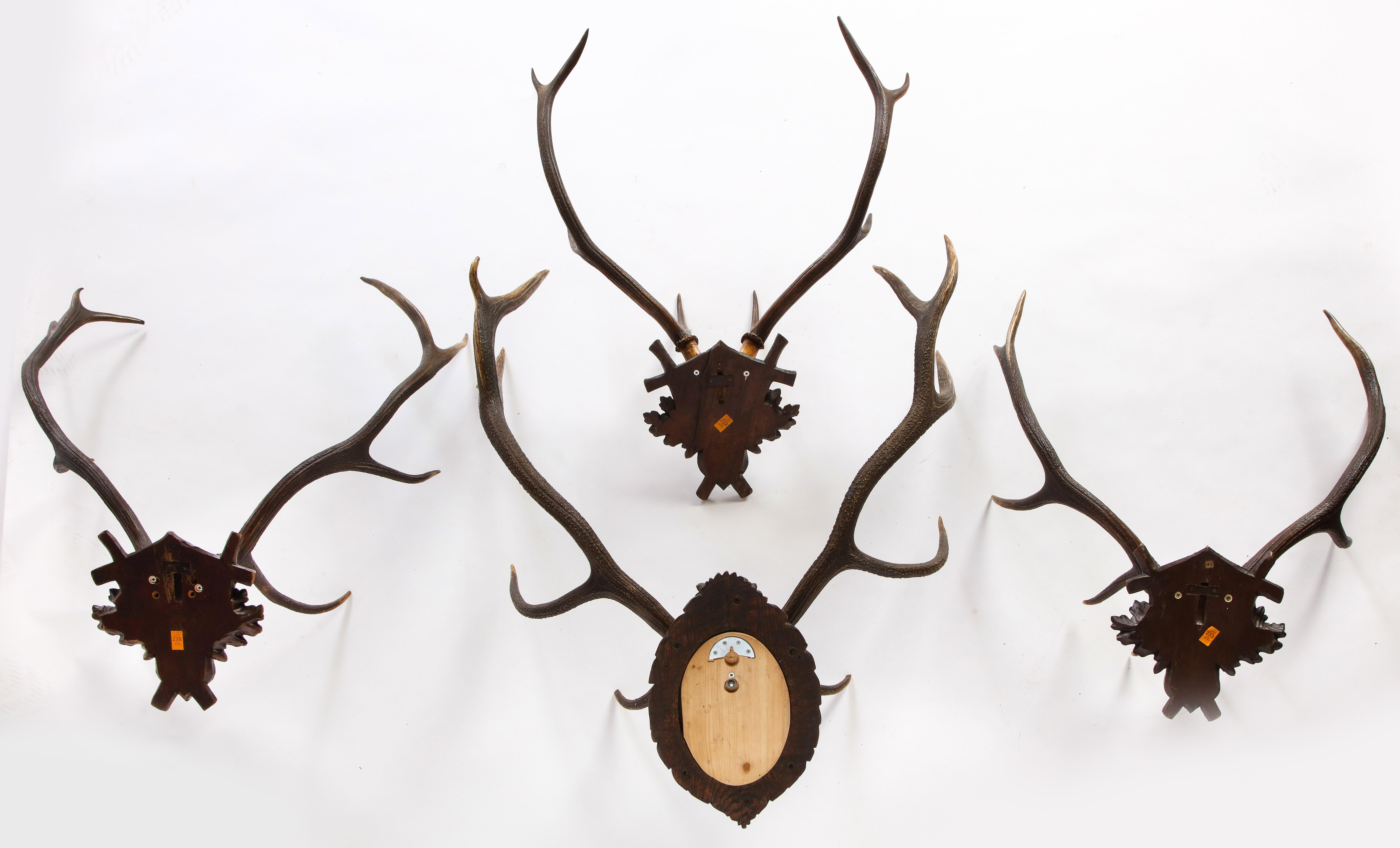 This set of four Swiss 'Black Forest' antler trophy mounts are composed of wooden backplates adorned with carved Alpine oak leaves and acorns. The largest mounted skull cap bears an inscription, decorative emblem of the cross and the date of the