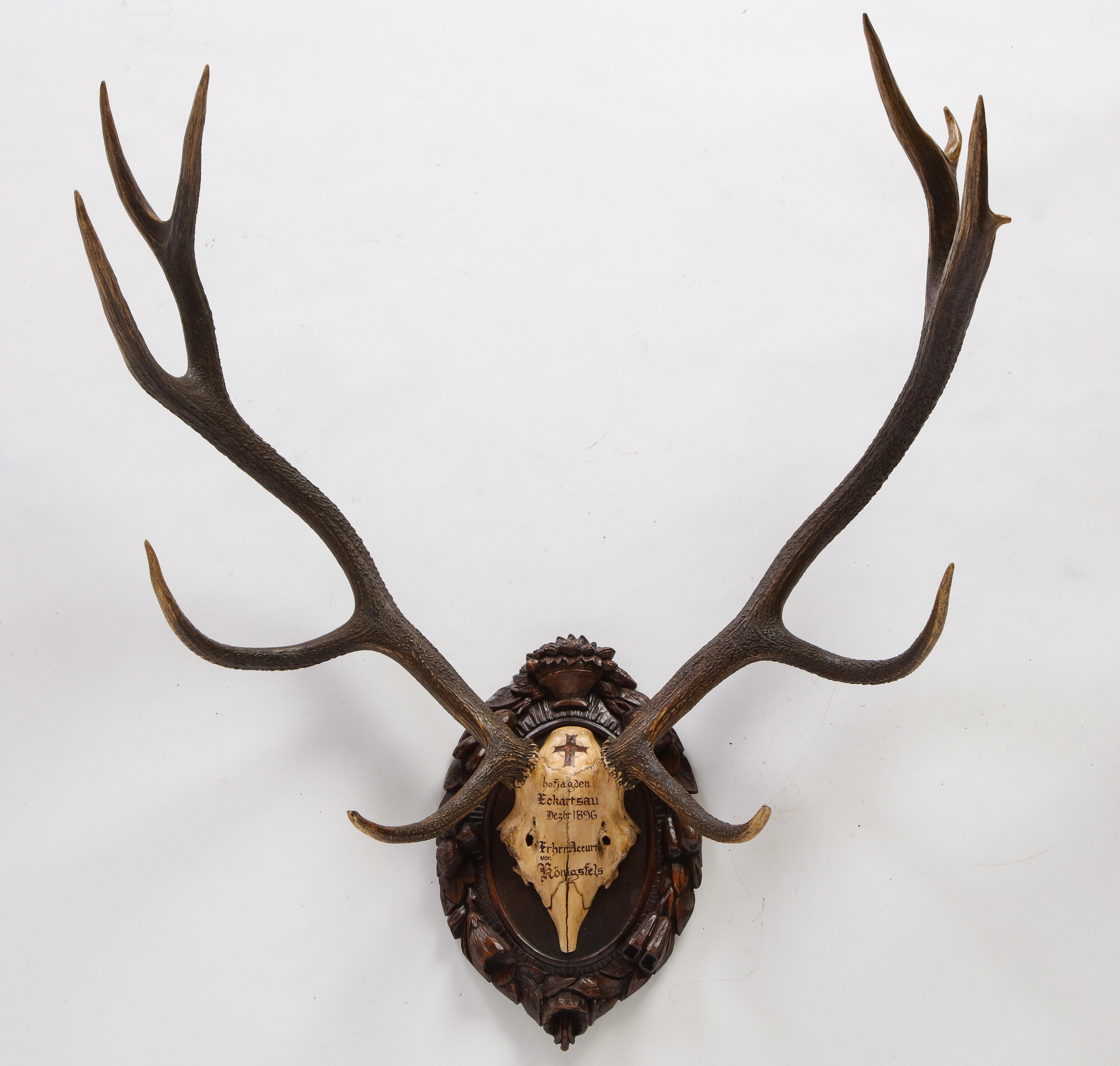 Group of Four Swiss 'Black Forest' Antler Trophy Mounts, 19th/20th Century In Good Condition In New York, NY