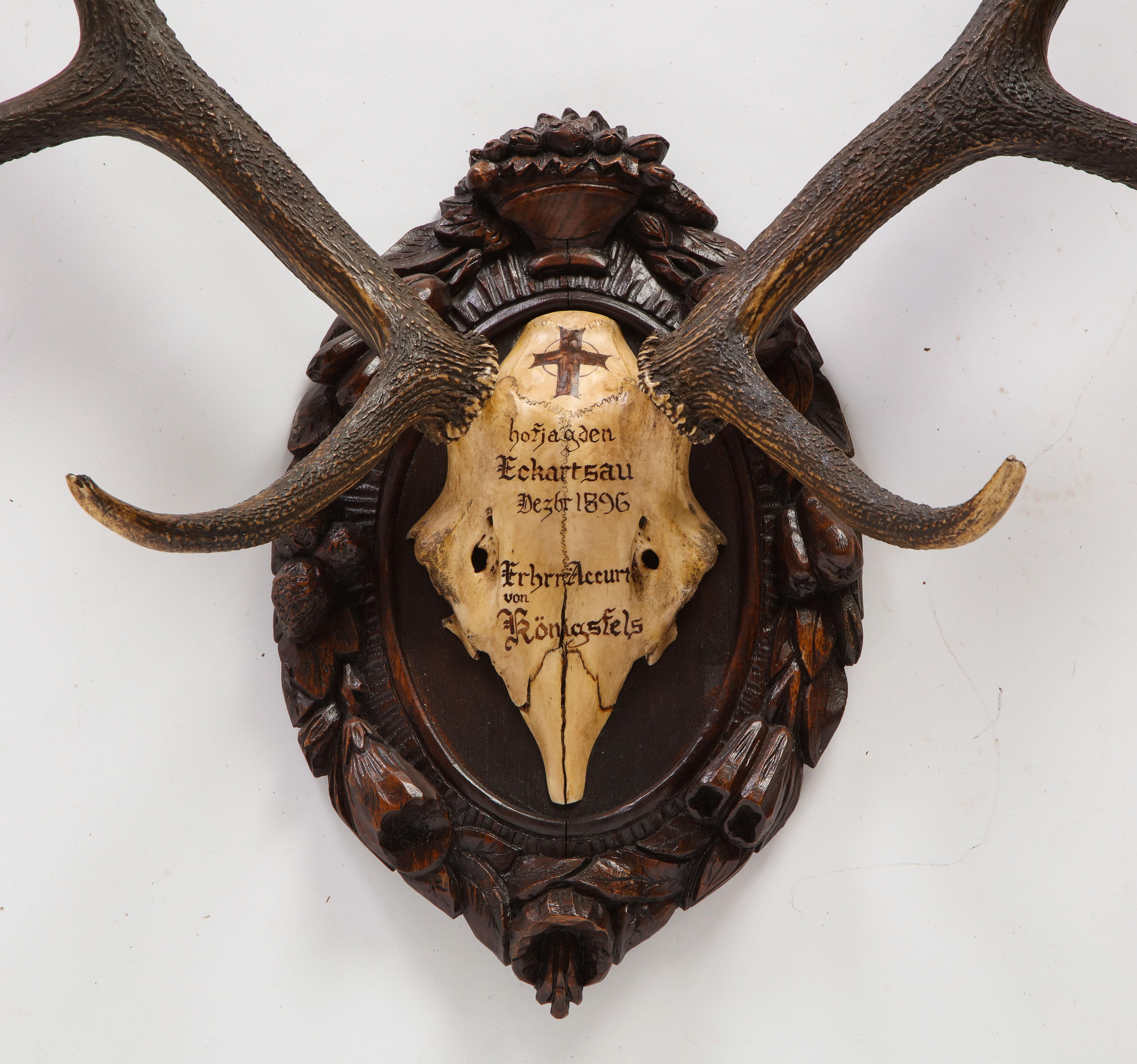Group of Four Swiss 'Black Forest' Antler Trophy Mounts, 19th/20th Century 1