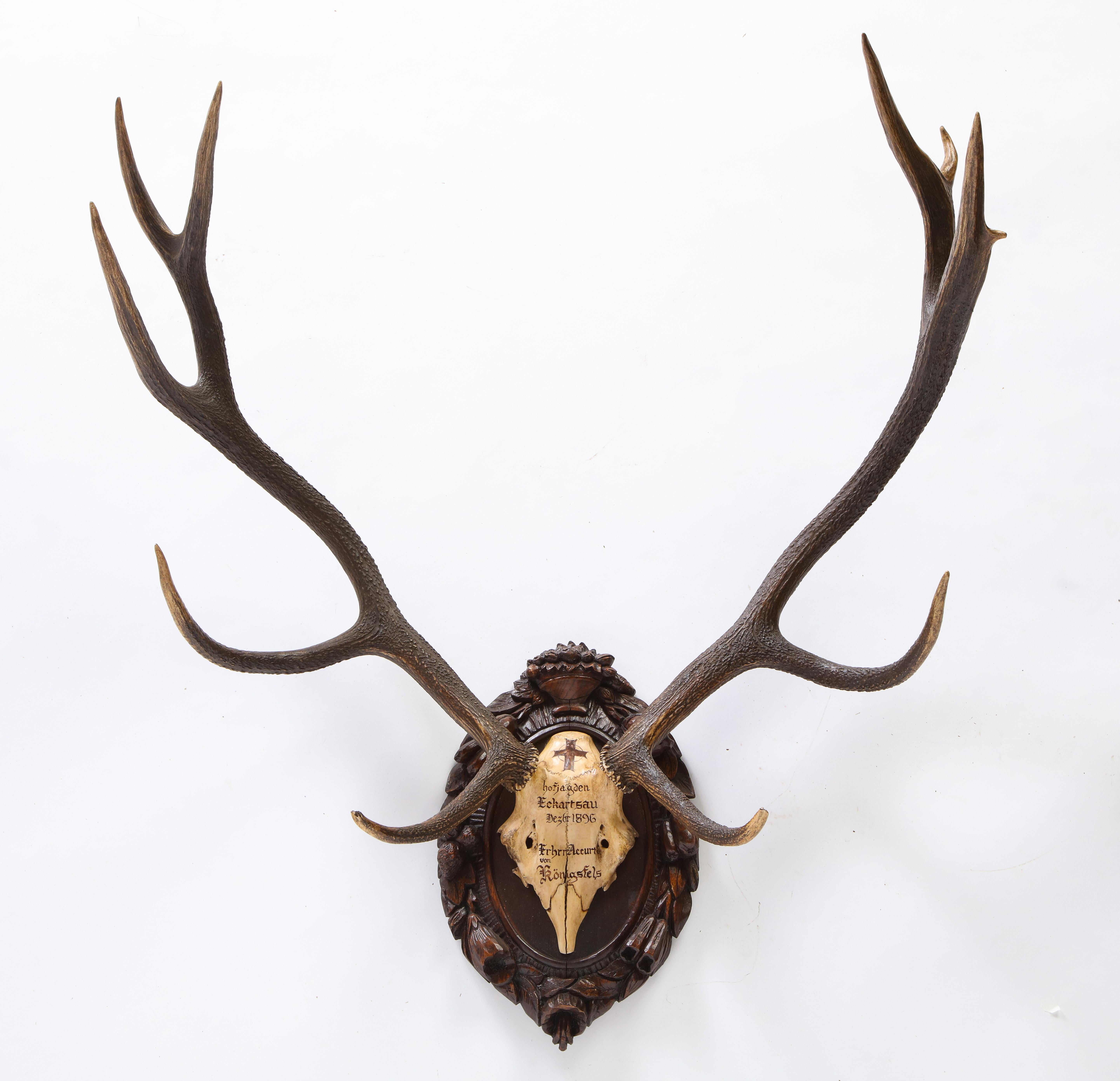 Group of Four Swiss 'Black Forest' Antler Trophy Mounts, 19th/20th Century 2