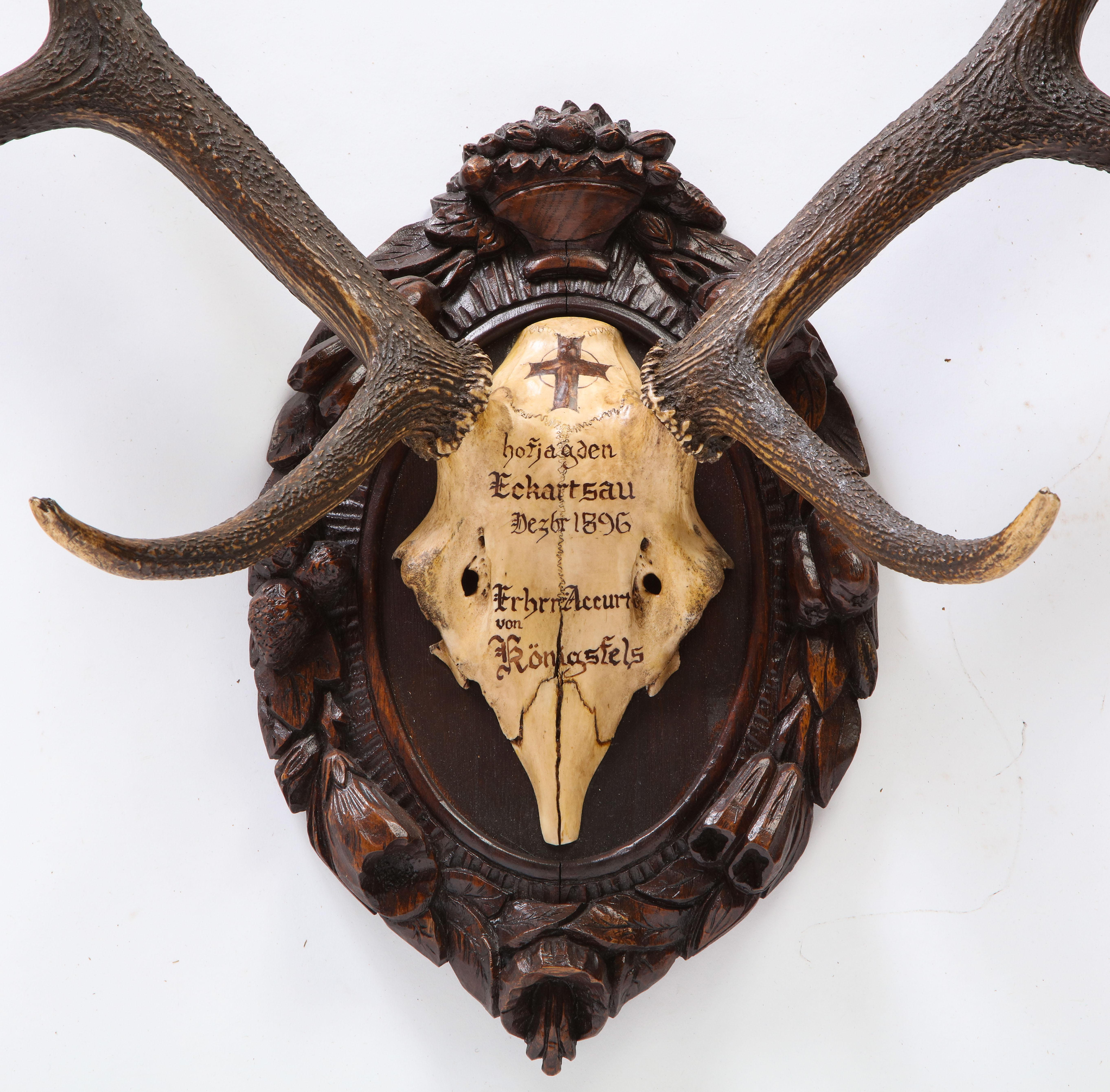 Group of Four Swiss 'Black Forest' Antler Trophy Mounts, 19th/20th Century 3
