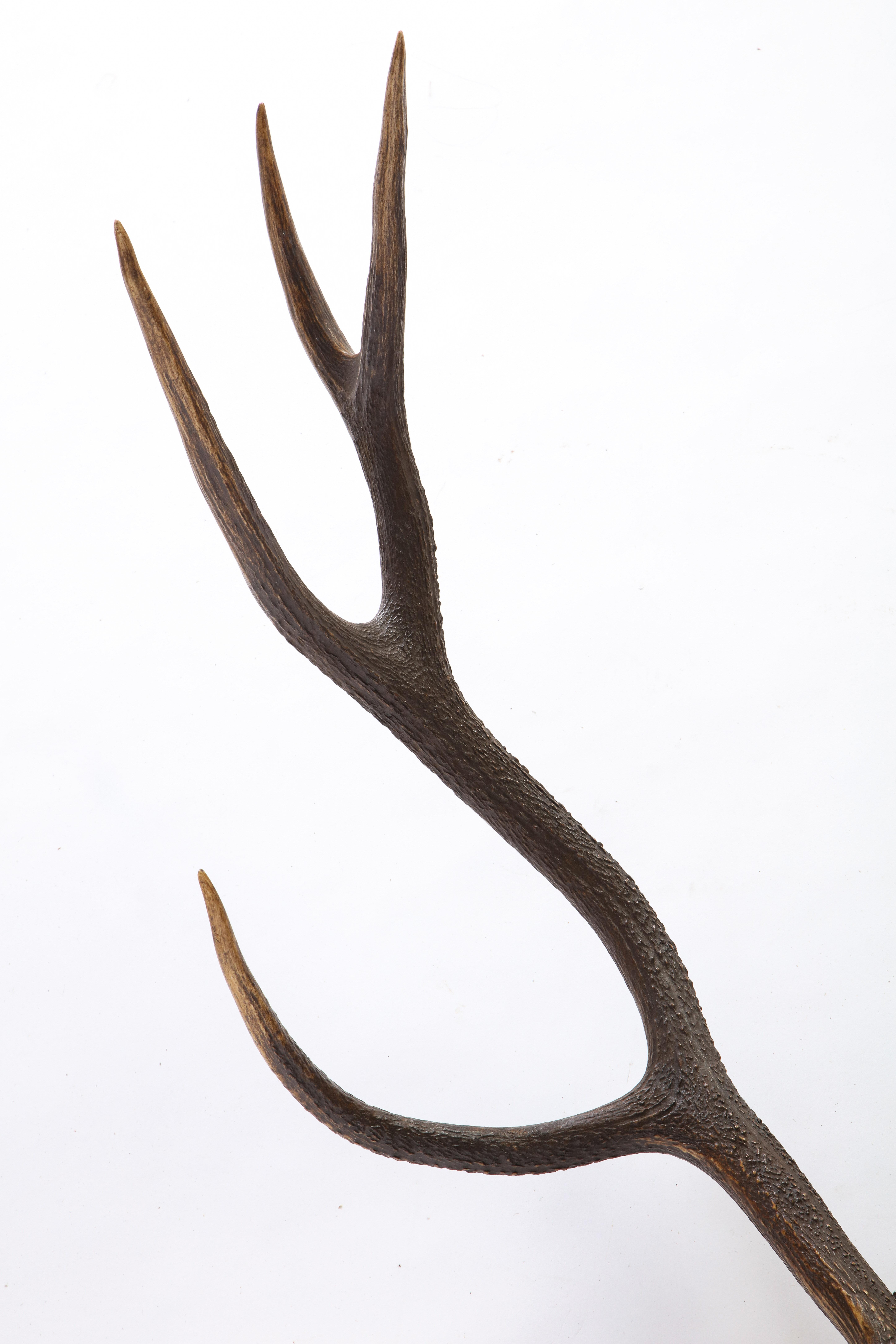 Group of Four Swiss 'Black Forest' Antler Trophy Mounts, 19th/20th Century 4