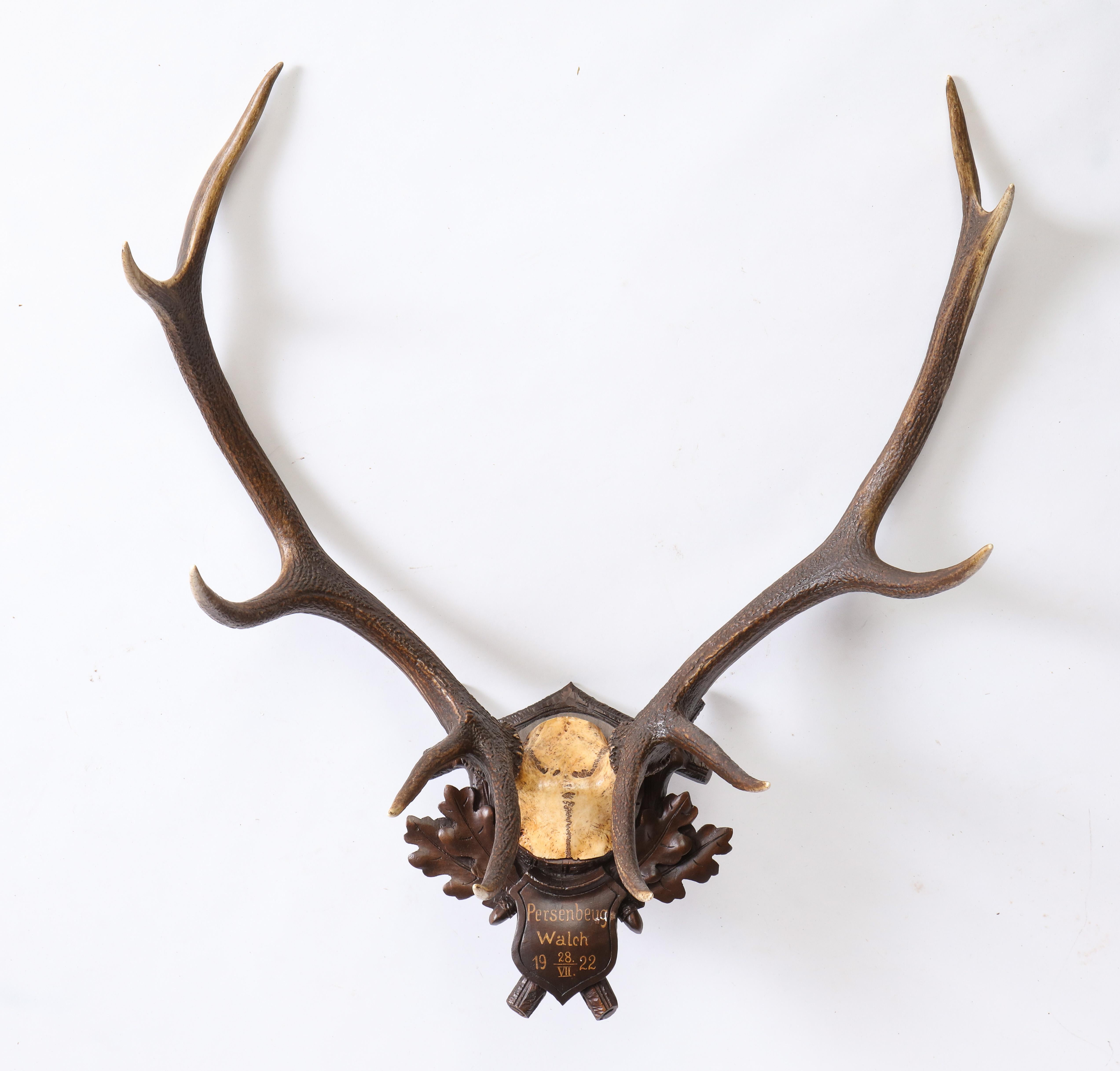 Group of Four Swiss 'Black Forest' Antler Trophy Mounts, 19th/20th Century 6
