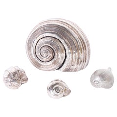 Group of Four Tonna Mollusc Silvered Seashells, Priced Individually