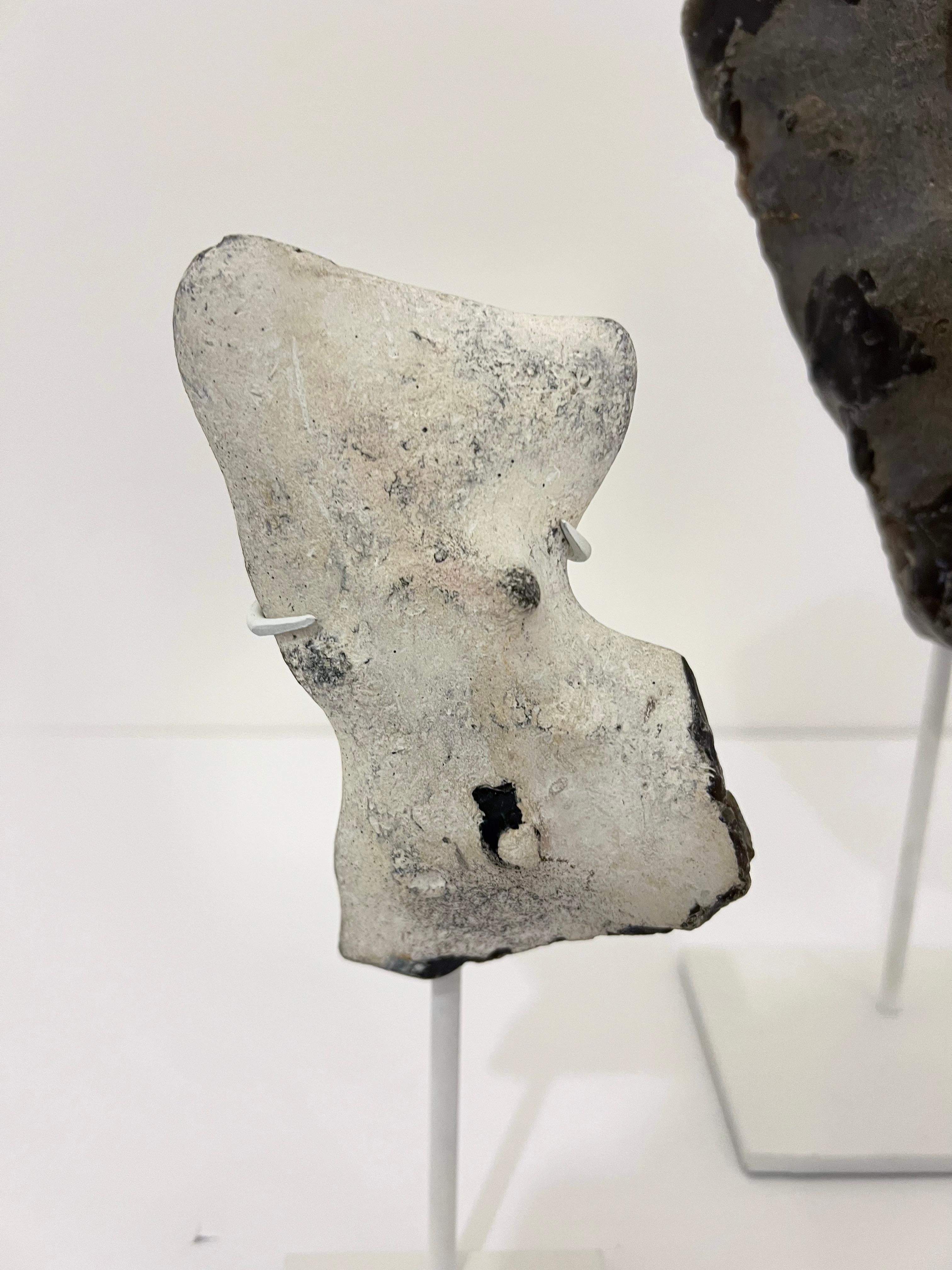 Grupo de Especímenes Montados de Piedra Marina Natural de Dinamarca en venta 4