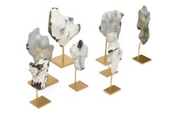 Gruppo di esemplari di pietra marina naturale montati provenienti dalla Danimarca