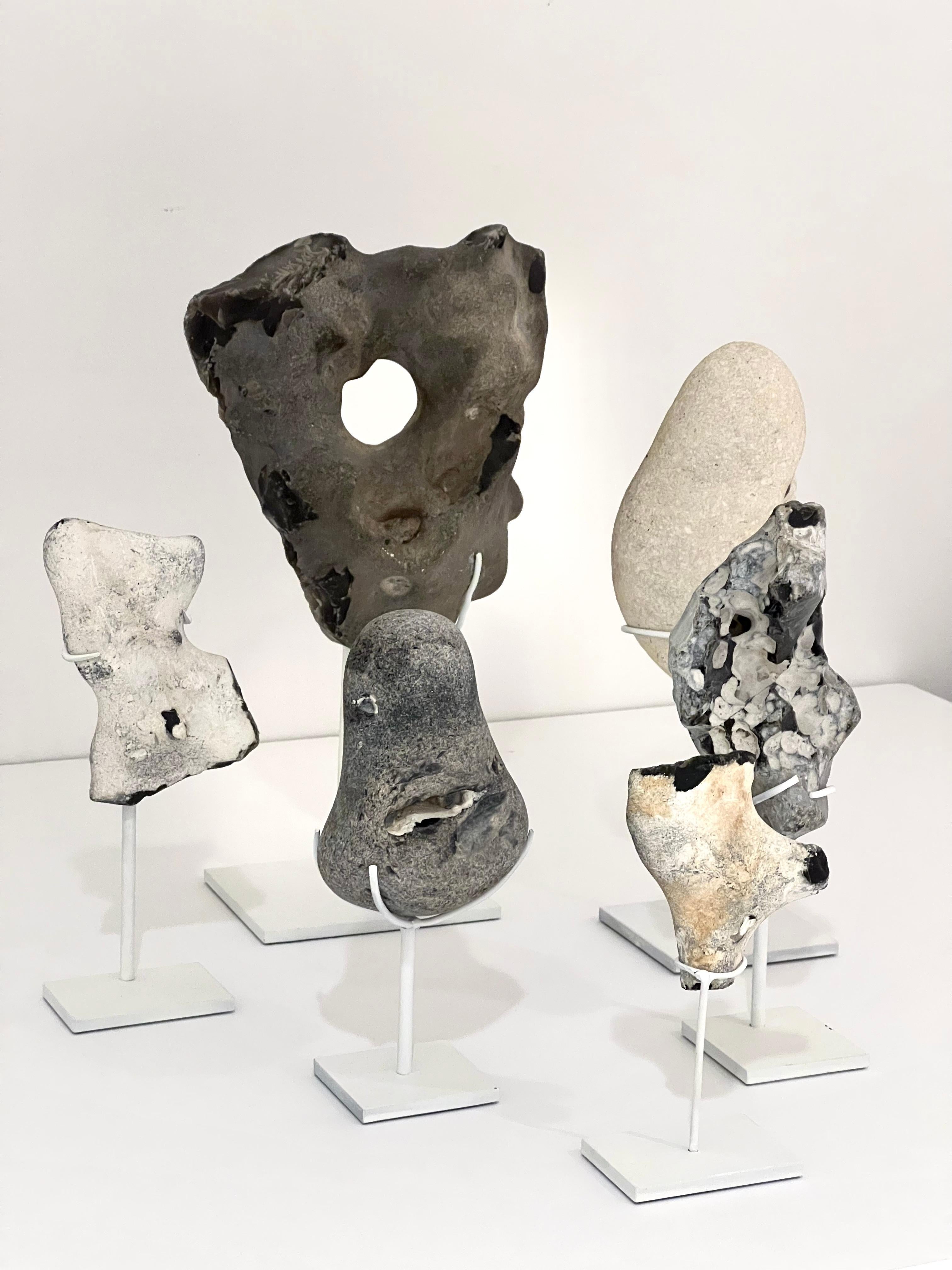 Grupo de Especímenes Montados de Piedra Marina Natural de Dinamarca Danés en venta
