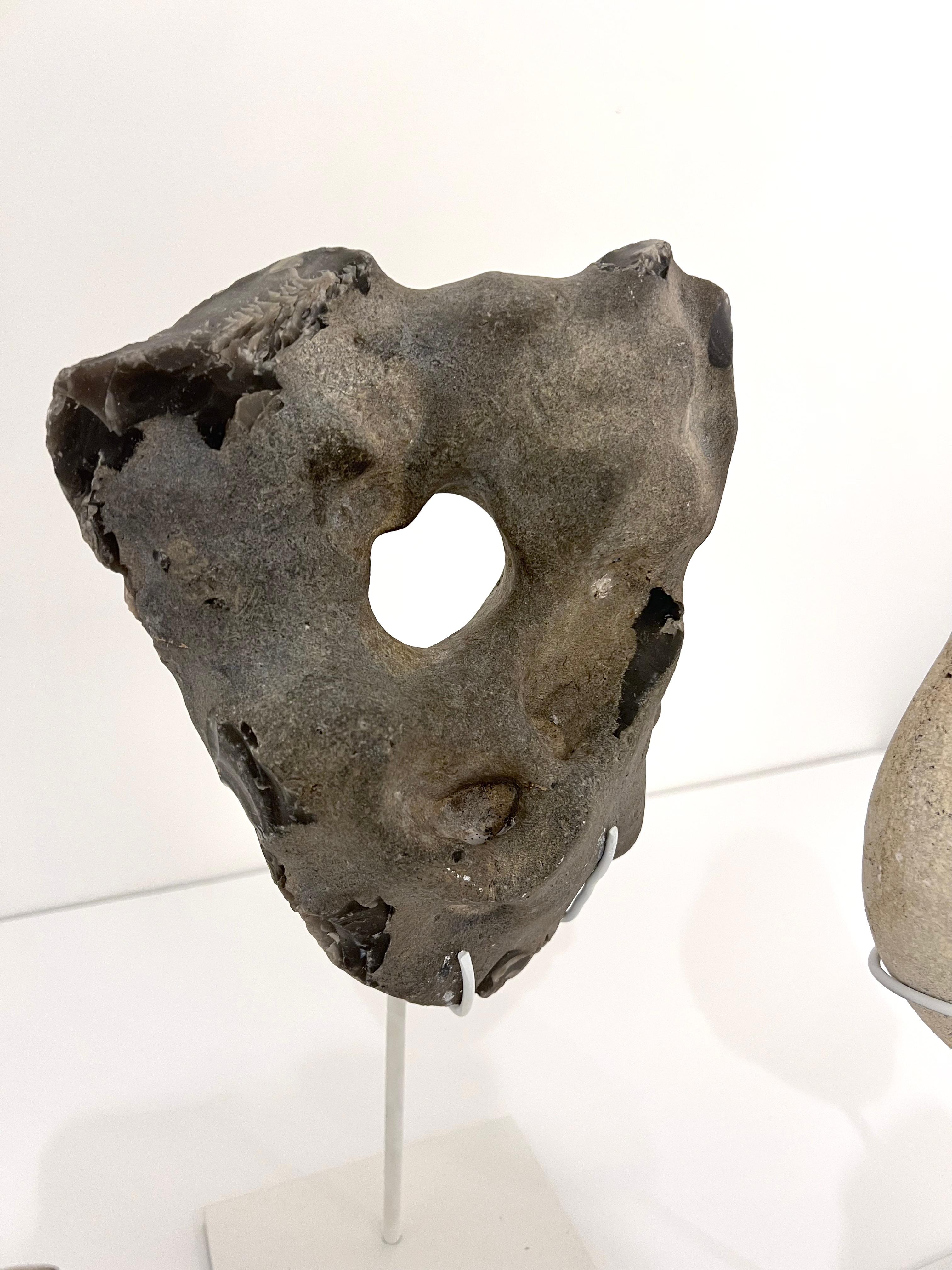 18th Century and Earlier Group of Mounted Natural Sea Stone Specimens from Denmark For Sale