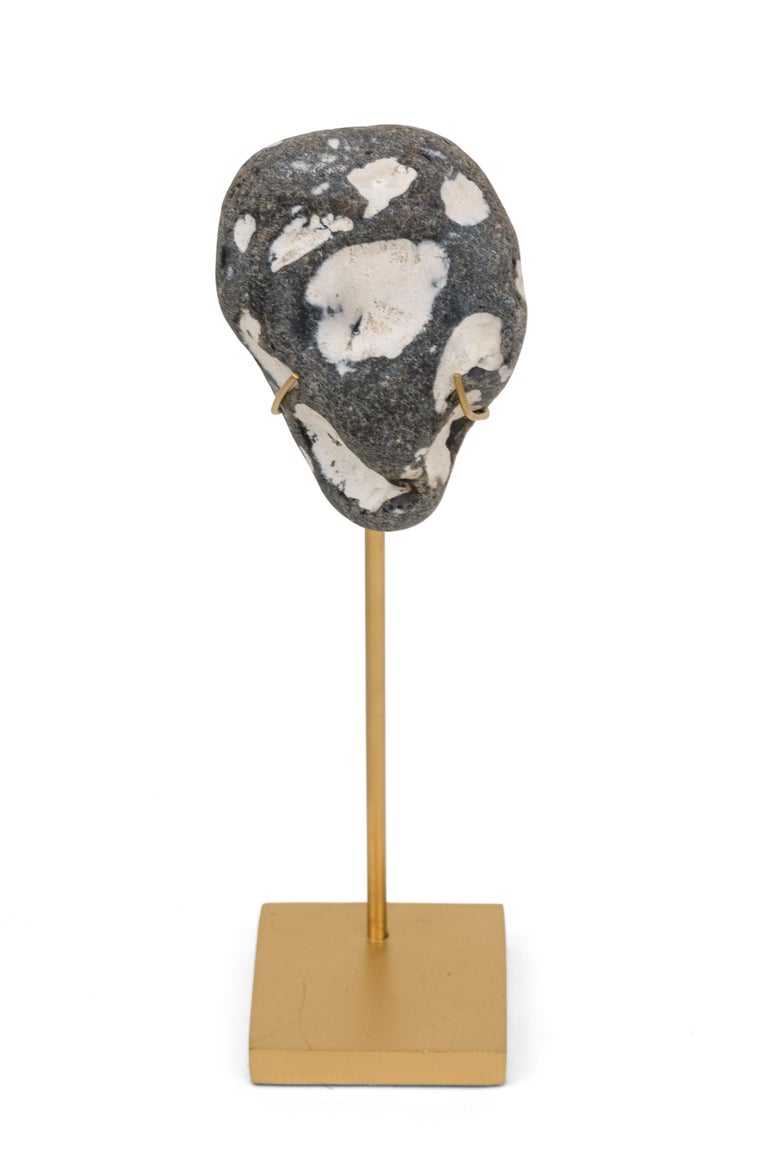 Group of Mounted Natural Sea Stone Specimens from Denmark For Sale at