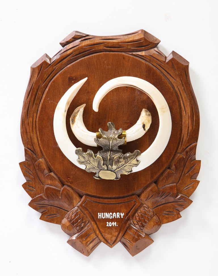 Group of Nine Central European MetalMounted Boar Tusk Trophy Mounts