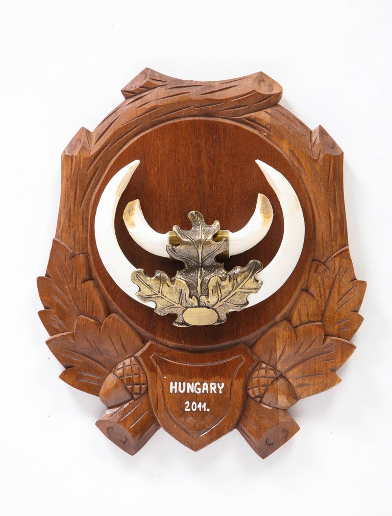 Group of Nine Central European MetalMounted Boar Tusk Trophy Mounts