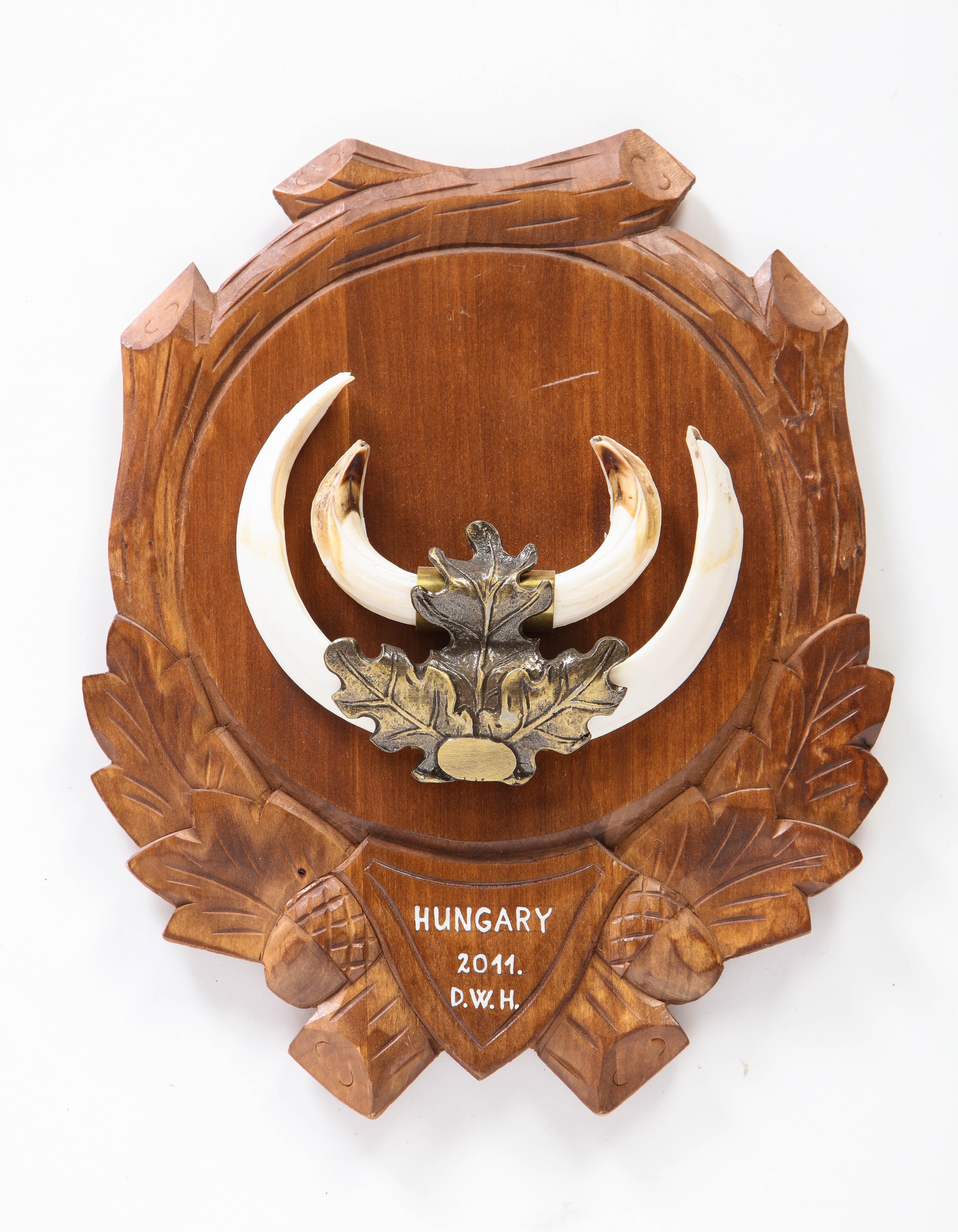 Group of Nine Central European Metal-Mounted Boar Tusk Trophy Mounts, Modern 6