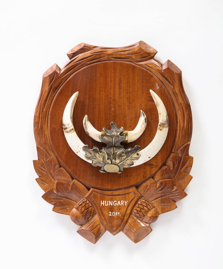 Group of Nine Central European MetalMounted Boar Tusk Trophy Mounts