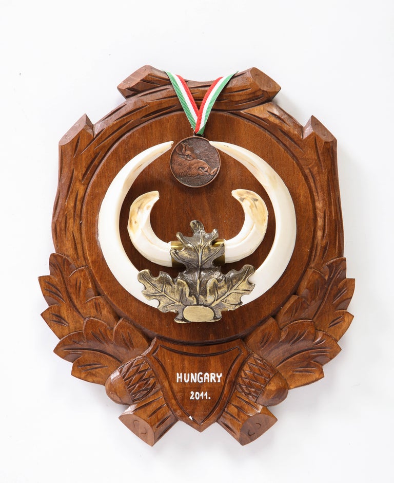 Group of Nine Central European MetalMounted Boar Tusk Trophy Mounts