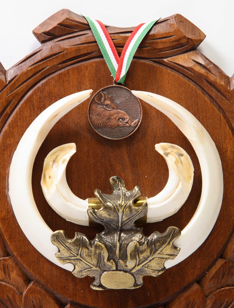 Group of Nine Central European MetalMounted Boar Tusk Trophy Mounts