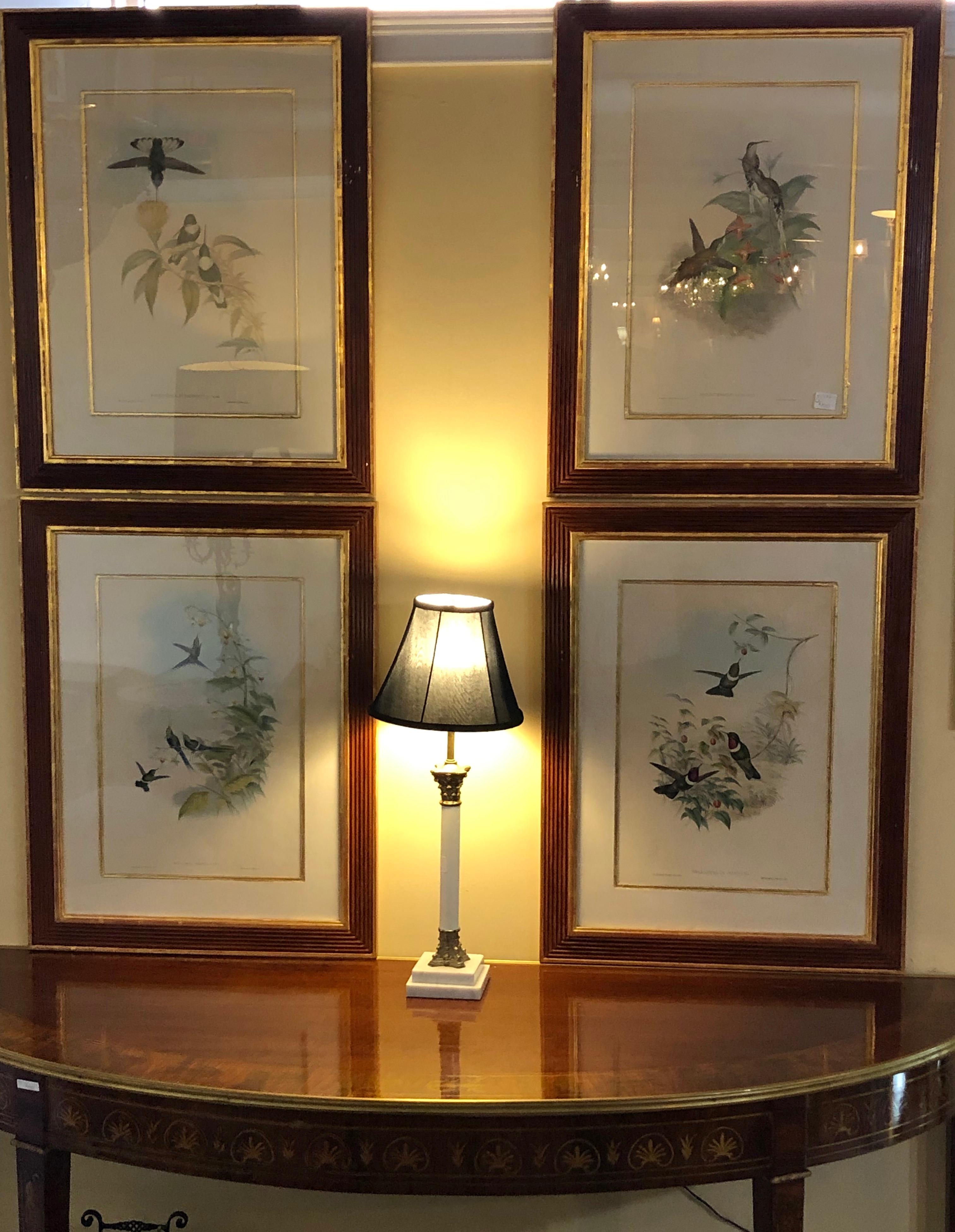 Group of Nine John Gould 19 Century Copperplate Hand Engravings Framed & Matted In Good Condition In Stamford, CT