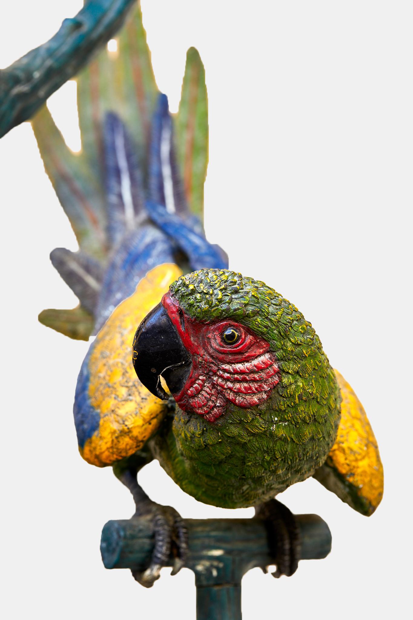 Modern Group of parrots on a painted bronze perch, 1970. For Sale