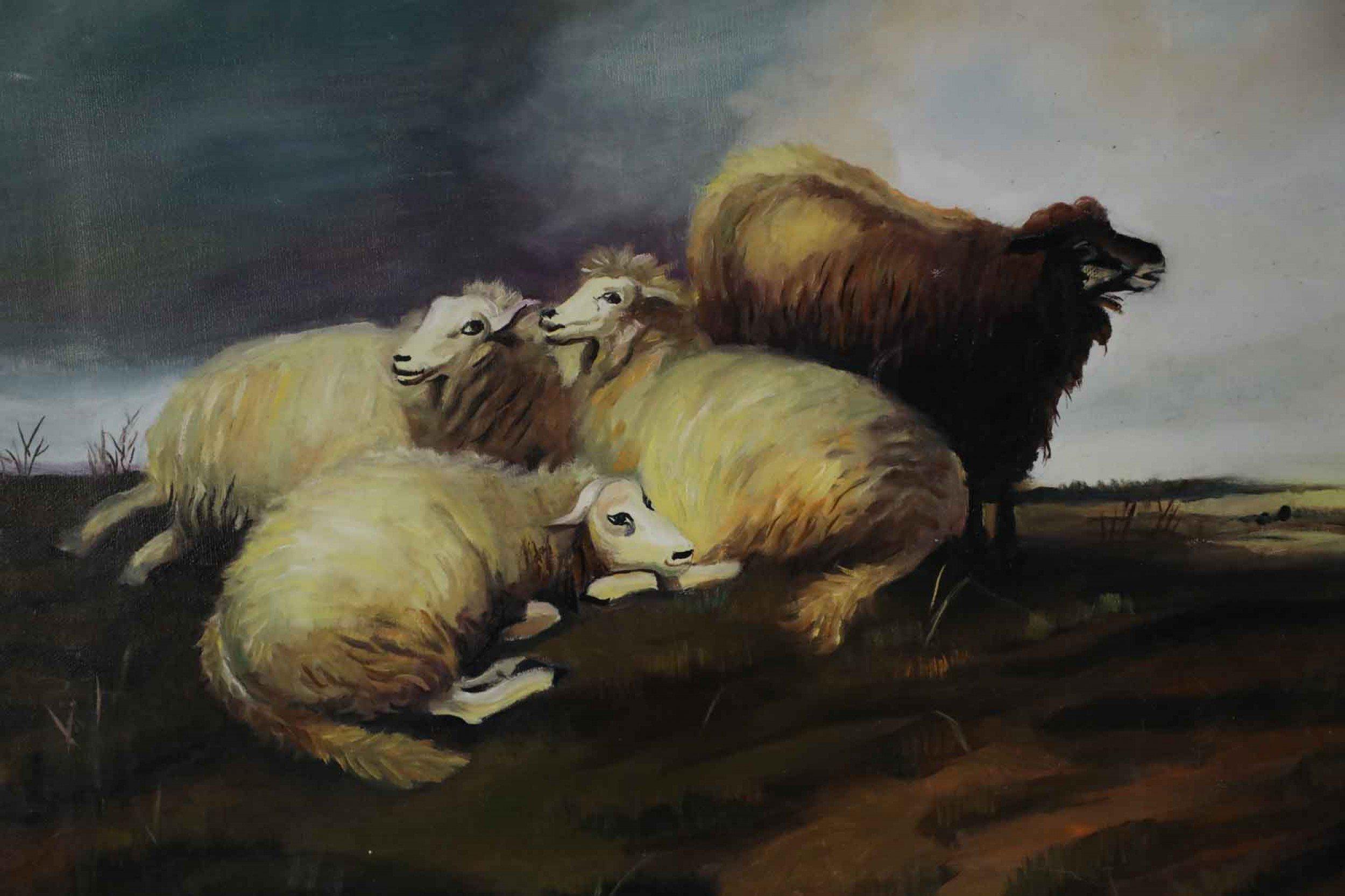 oil painting sheep