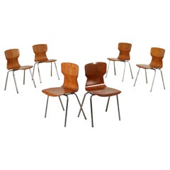 Group of Six Chairs Plywood Chromed Metal Holland 1960s 1970s, by Obo Eromes