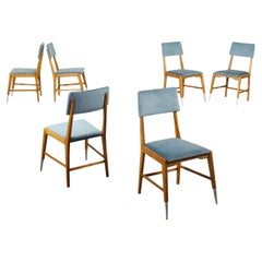 Groupe de six chaises Sessile en chêne mousse velours aluminium Italie des années 1950