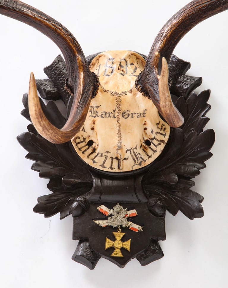 Group of Six Swiss 'Black Forest' Moose Antler Trophy Mounts, Early