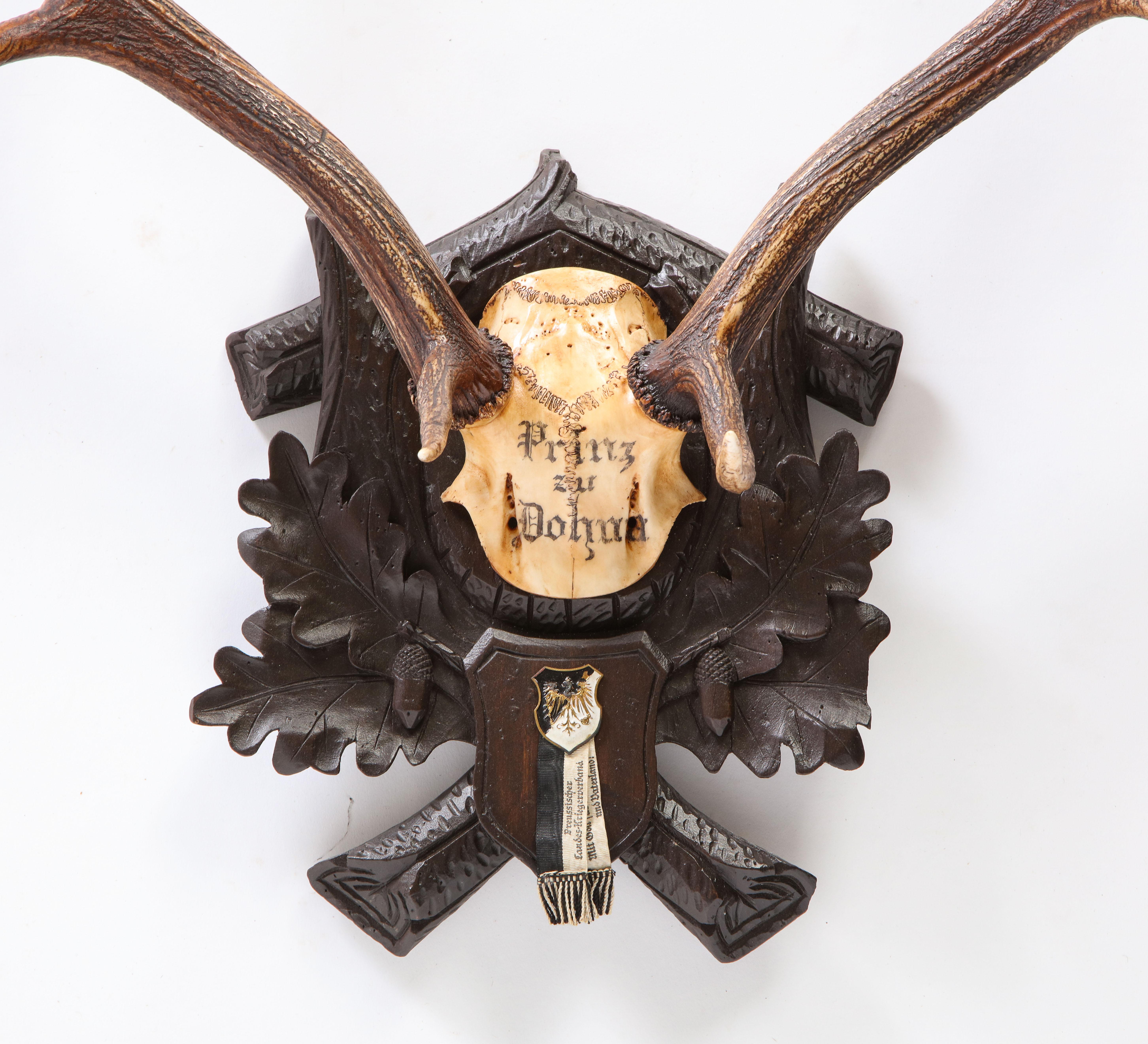 Group of Six Swiss 'Black Forest' Moose Antler Trophy Mounts, Early 20th Century 15