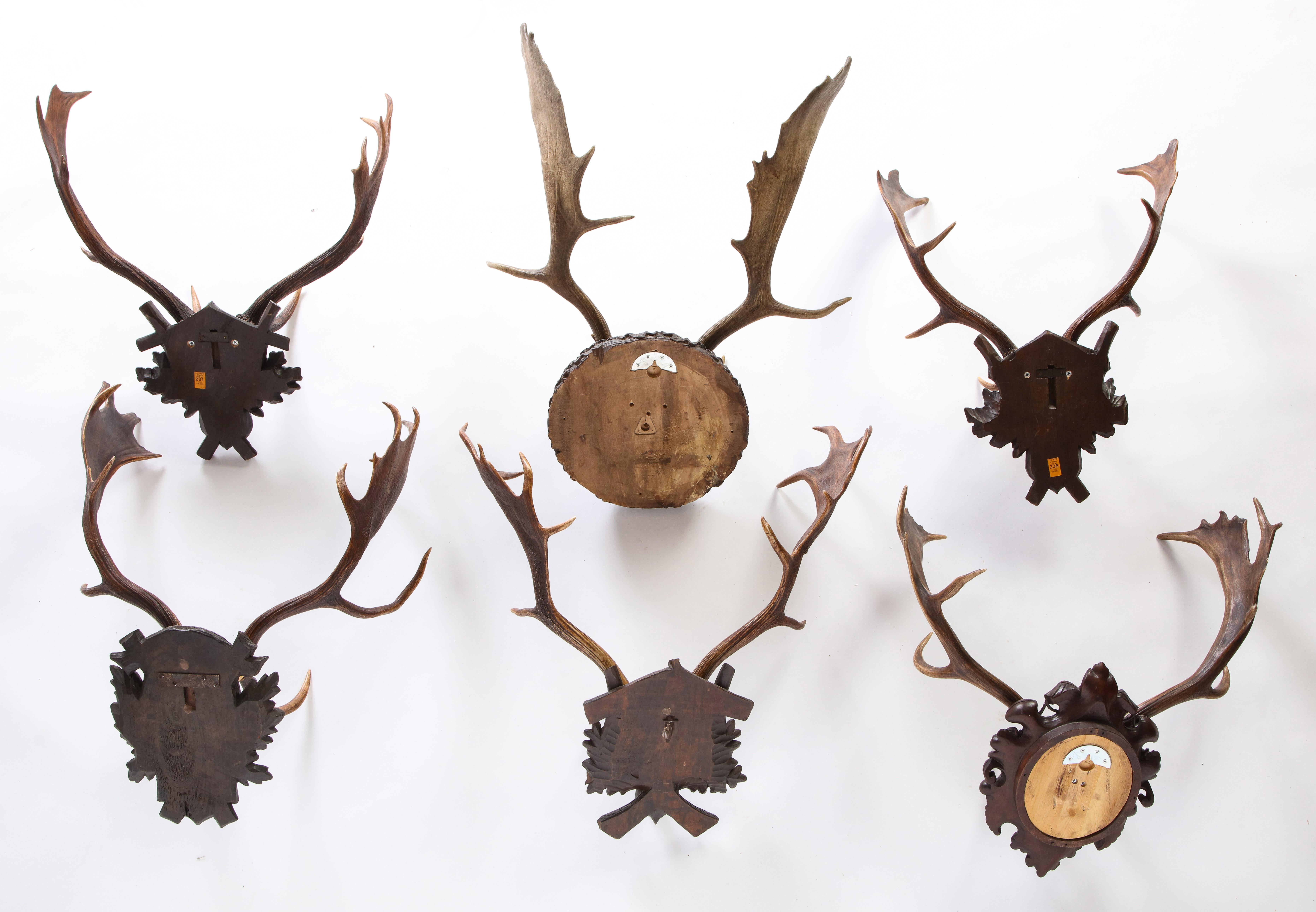 Group of Six Swiss 'Black Forest' Moose Antler Trophy Mounts, Early 20th Century In Good Condition In New York, NY