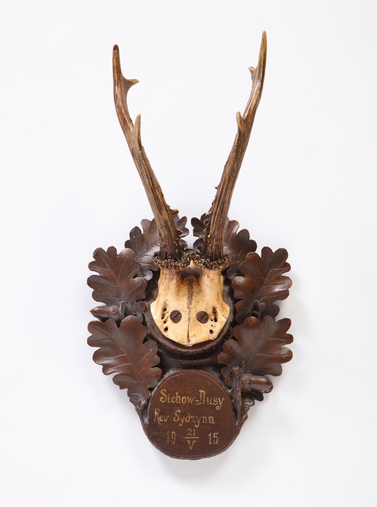 Group of Thirteen Swiss 'Black Forest' Antler Trophy Mounts, 20th