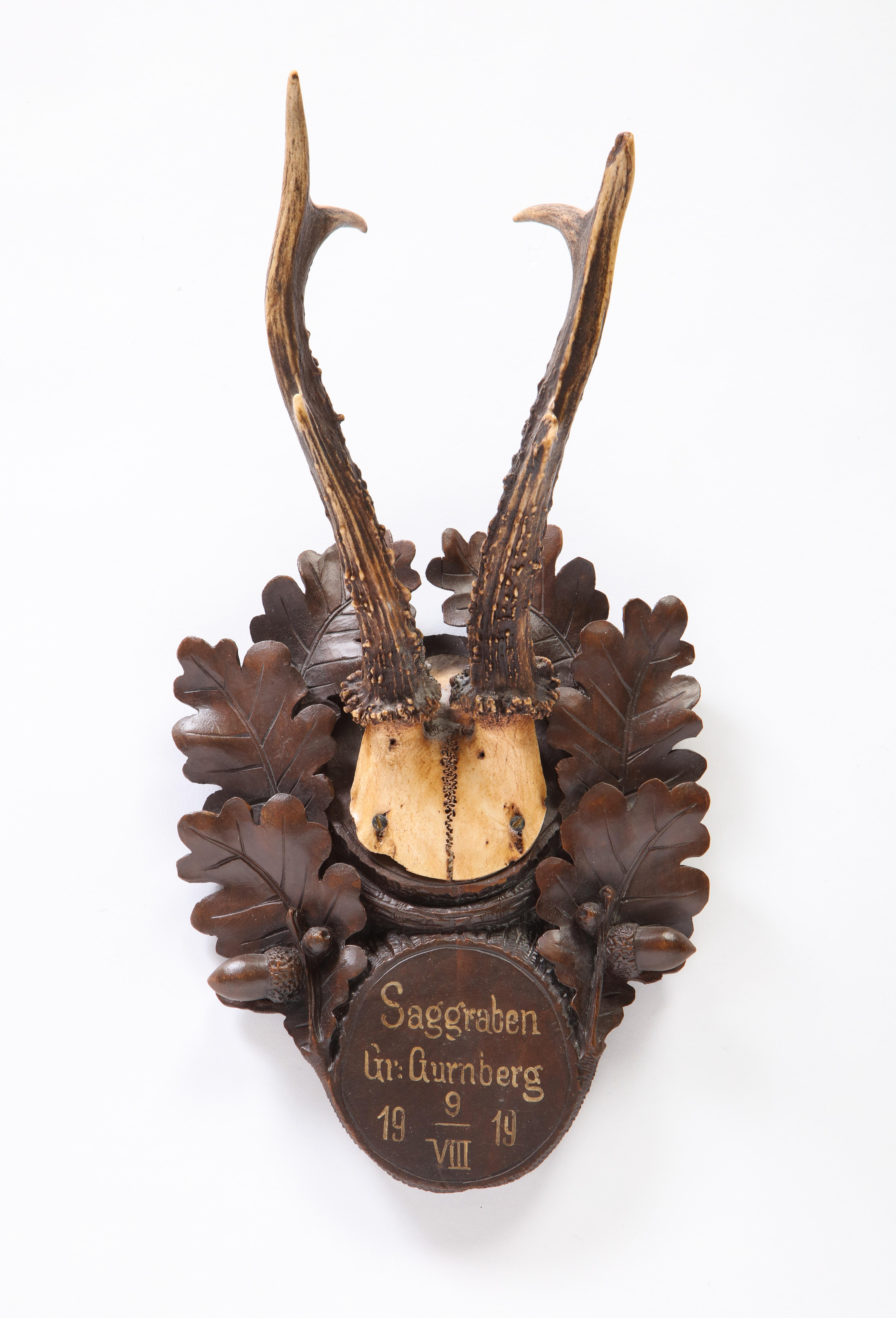 Group of Thirteen Swiss 'Black Forest' Antler Trophy Mounts, 20th Century 16
