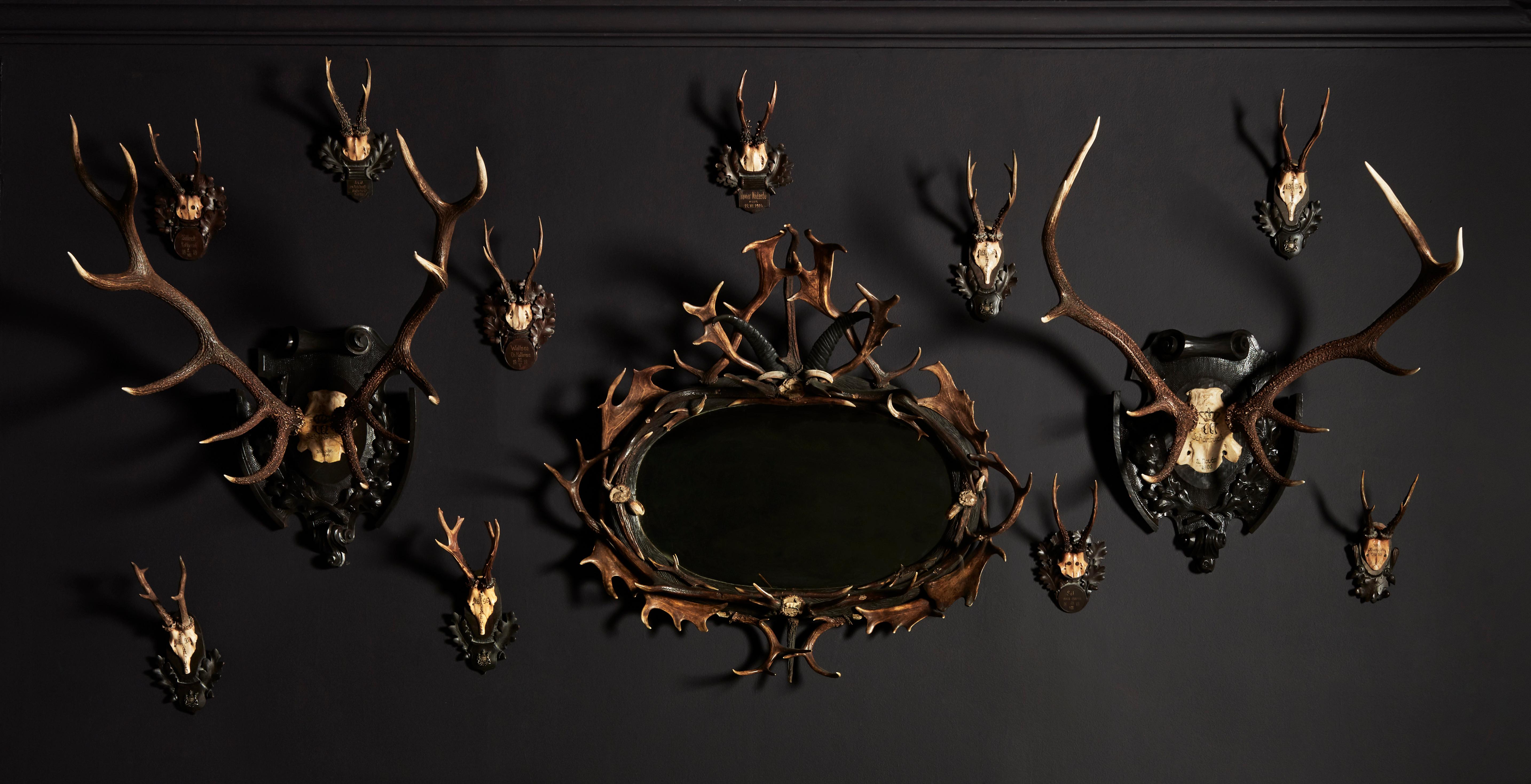 Group of Thirteen Swiss 'Black Forest' Antler Trophy Mounts, 20th Century 2