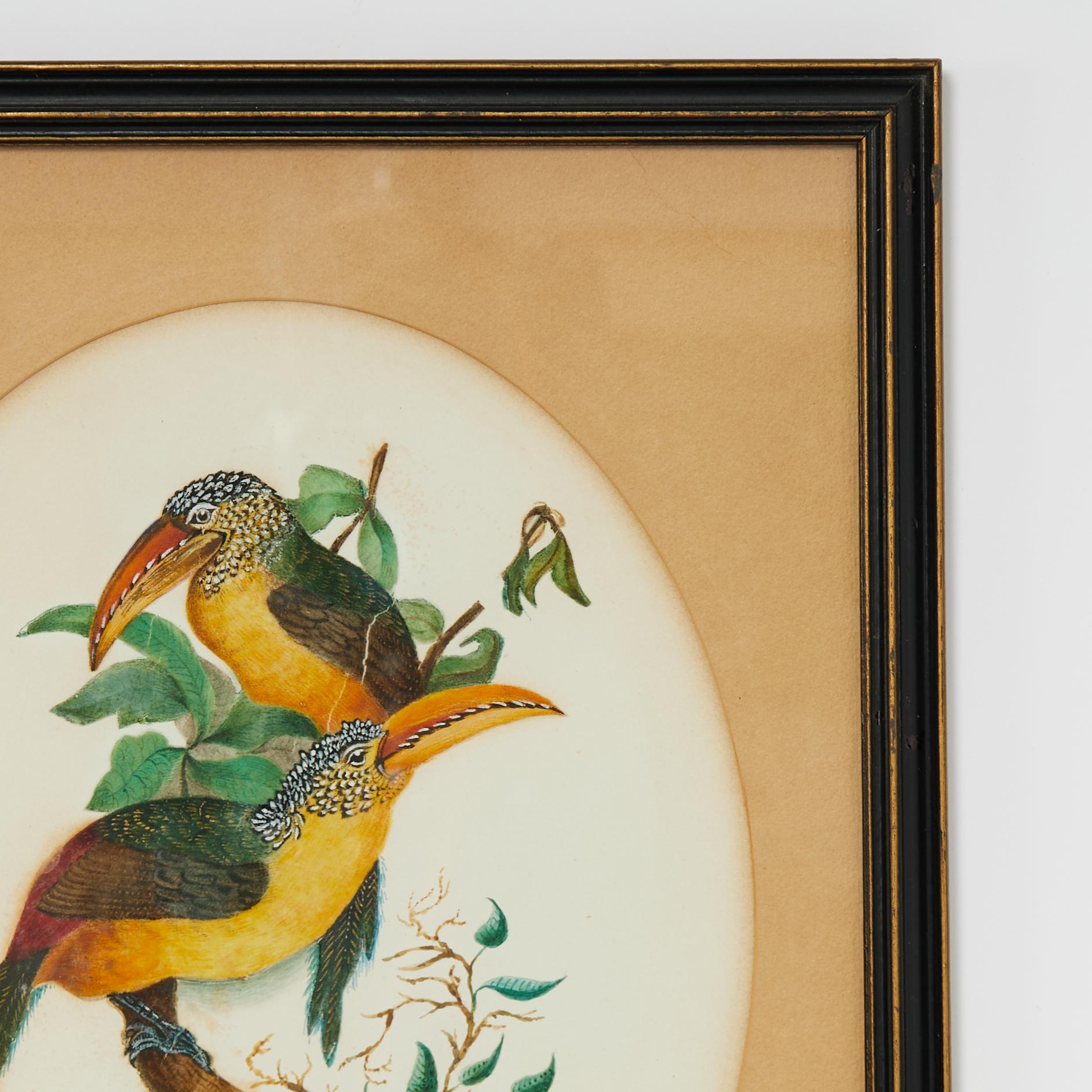 Group of Three Framed Antique Watercolors of Birds, Priced Individually For Sale 3
