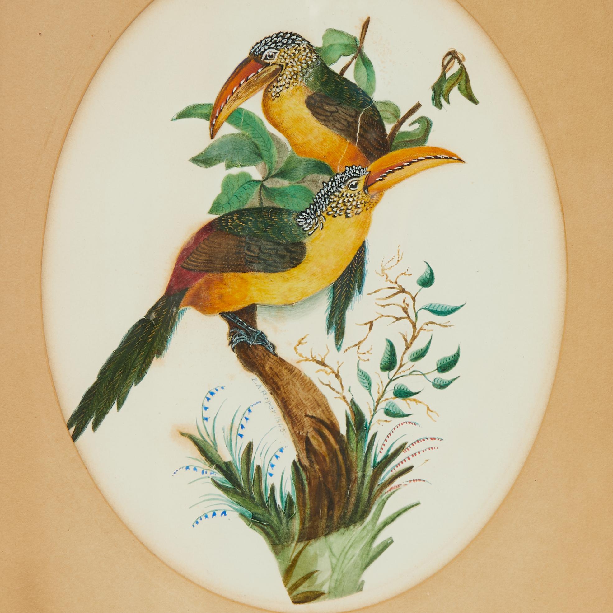 Group of Three Framed Antique Watercolors of Birds, Priced Individually For Sale 4