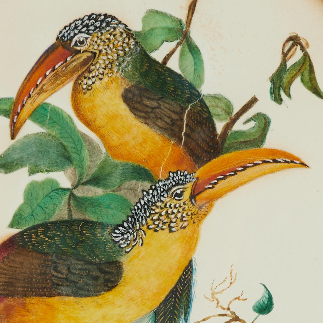 Group of Three Framed Antique Watercolors of Birds, Priced Individually For Sale 5